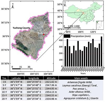 Carbon and nitrogen stoichiometry across plant–soil system accounts for the degradation of multi-year alfalfa grassland